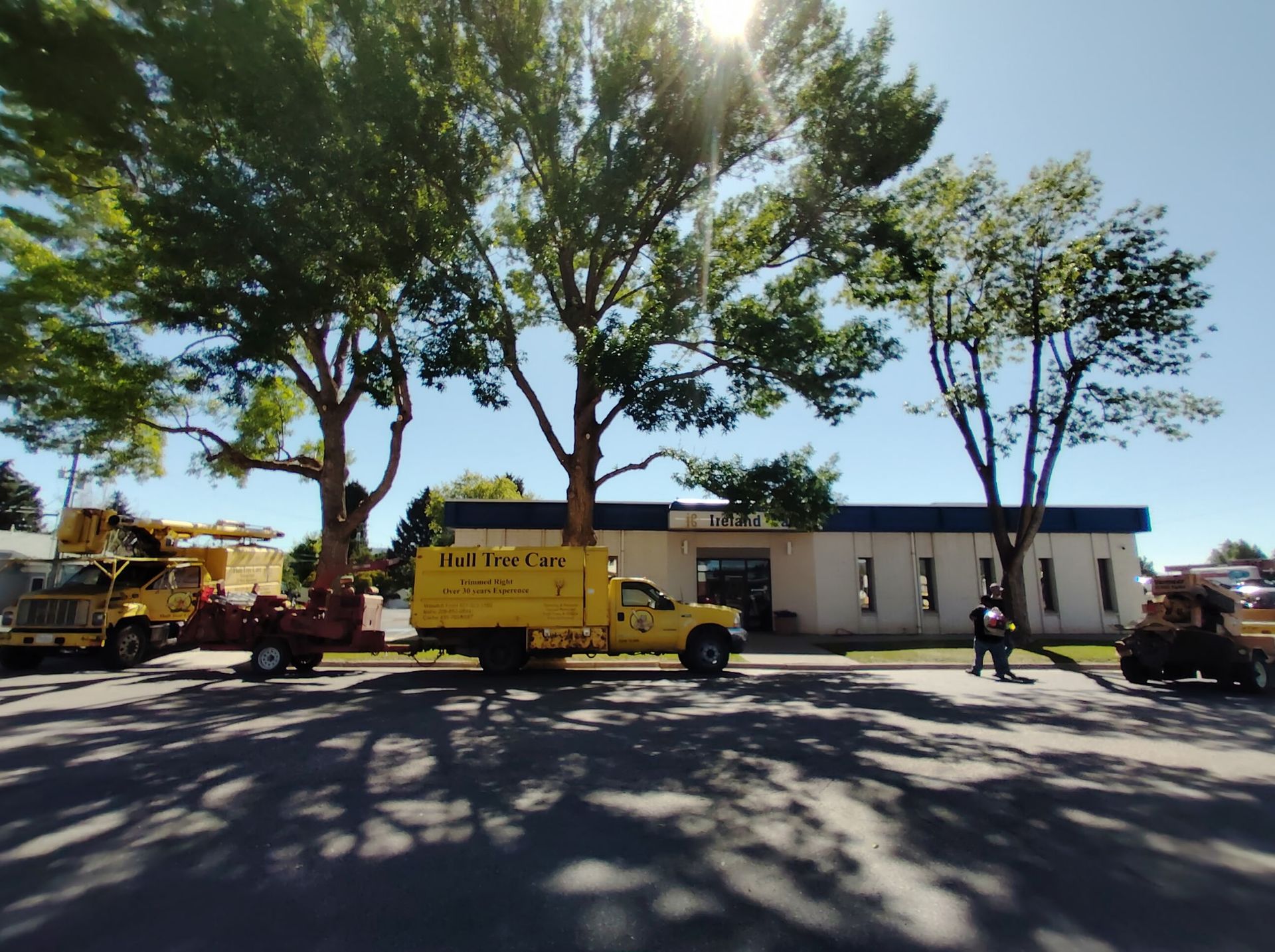 Yellow utility trucks parked beside a white building under large trees on a sunny street