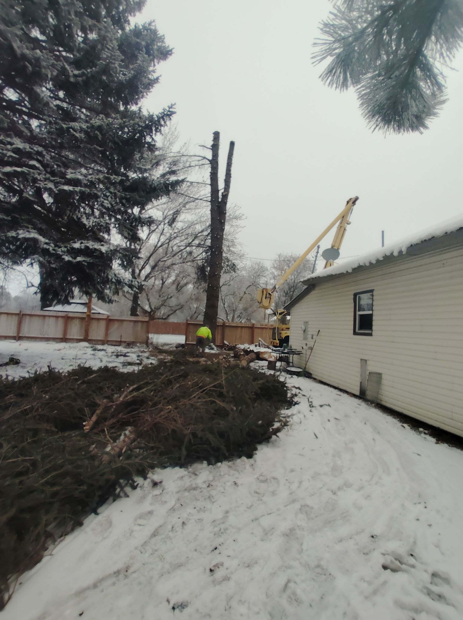 Snowy yard with fallen tree, workers and crane near a house after storm damage