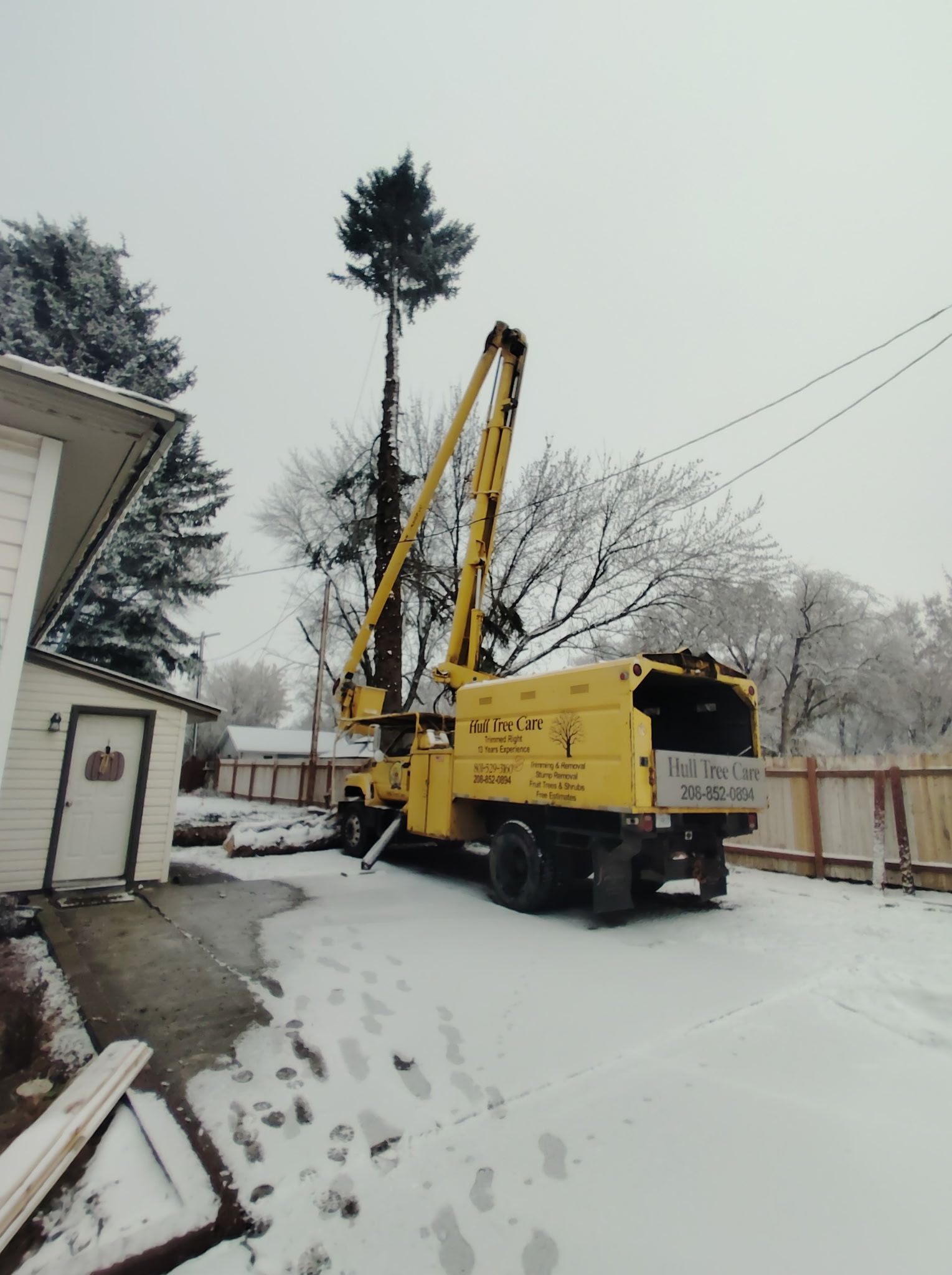 Yellow crane truck lifting a tall tree in a snowy residential yard