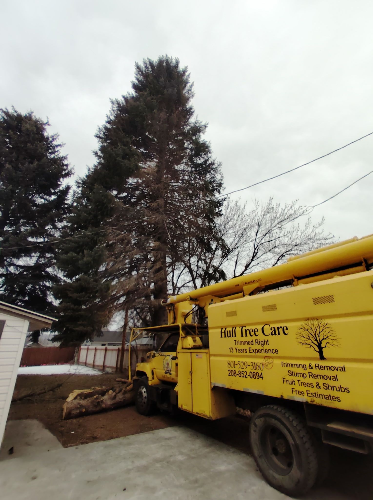 Yellow service truck parked beside tall trees and a white fence outdoors