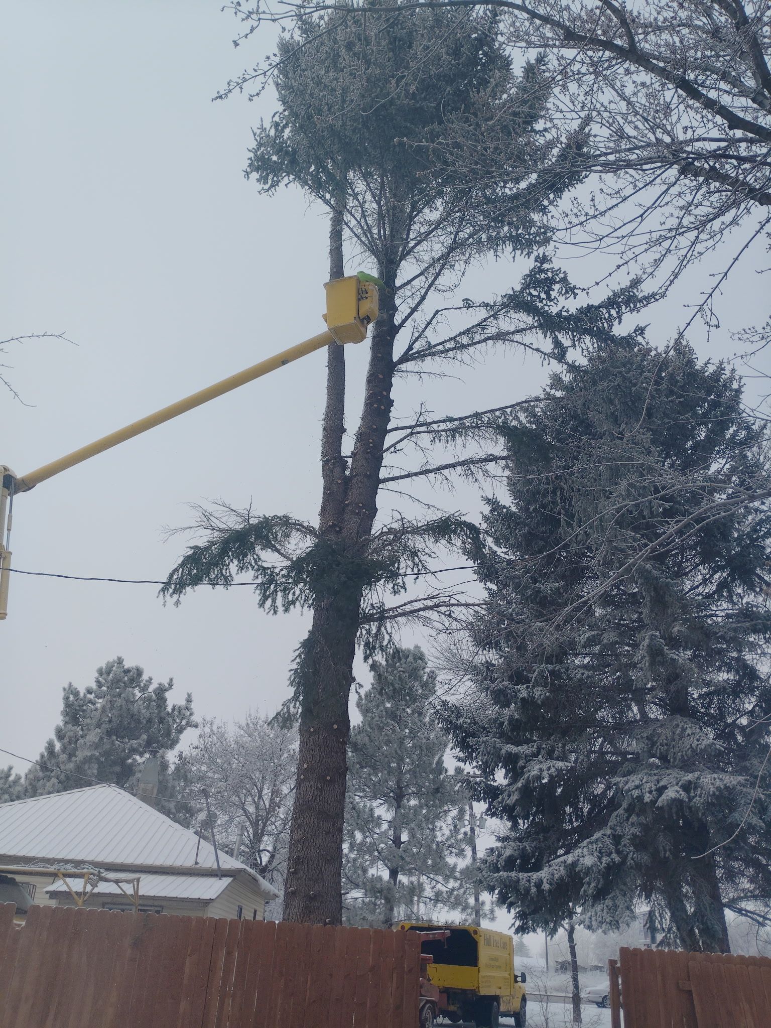 Snowy yard with a tall tree being trimmed by a bucket lift near houses and a wooden fence