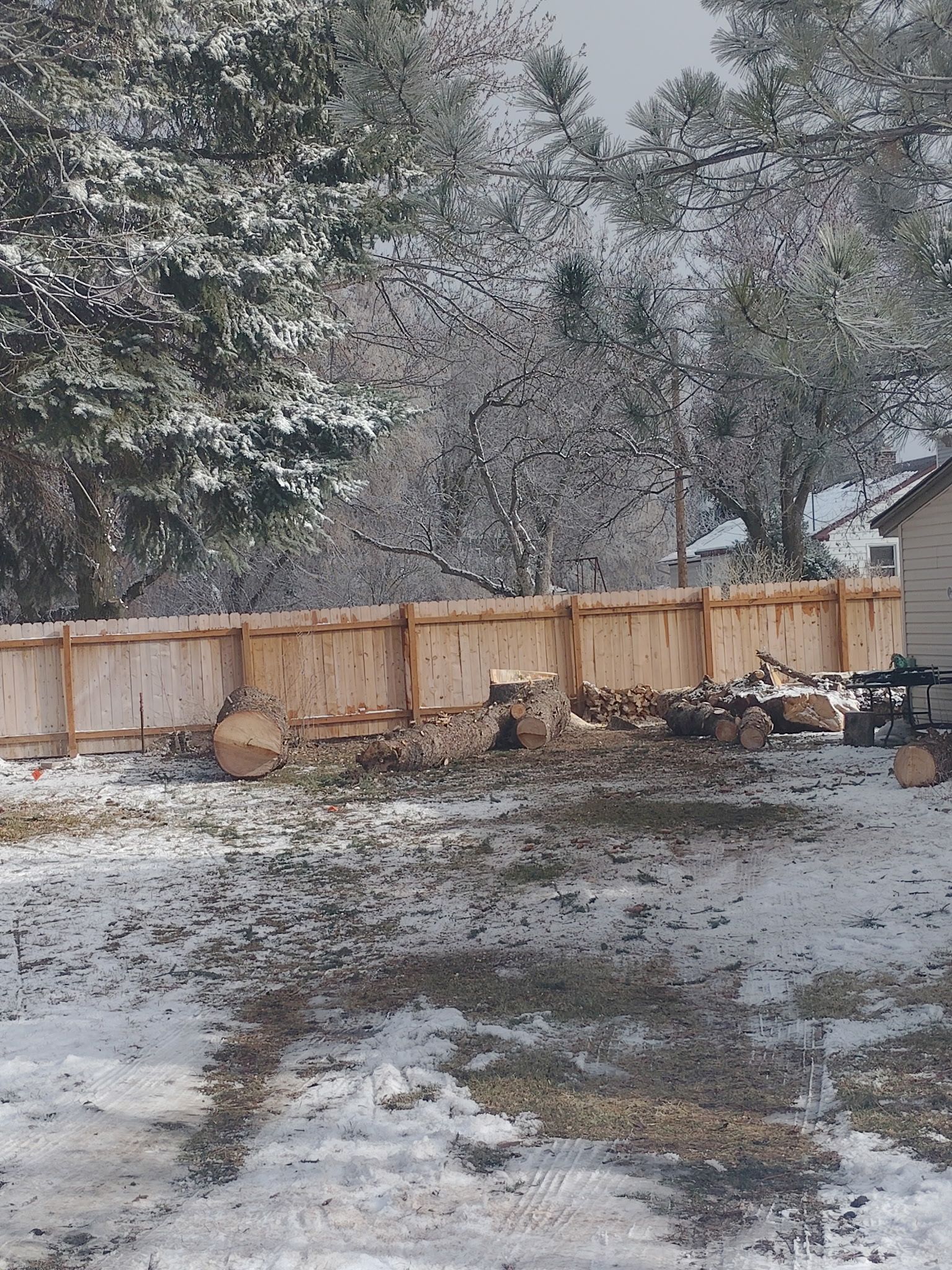 Snow-covered backyard with a wooden fence, trees, and stacked firewood near a shed