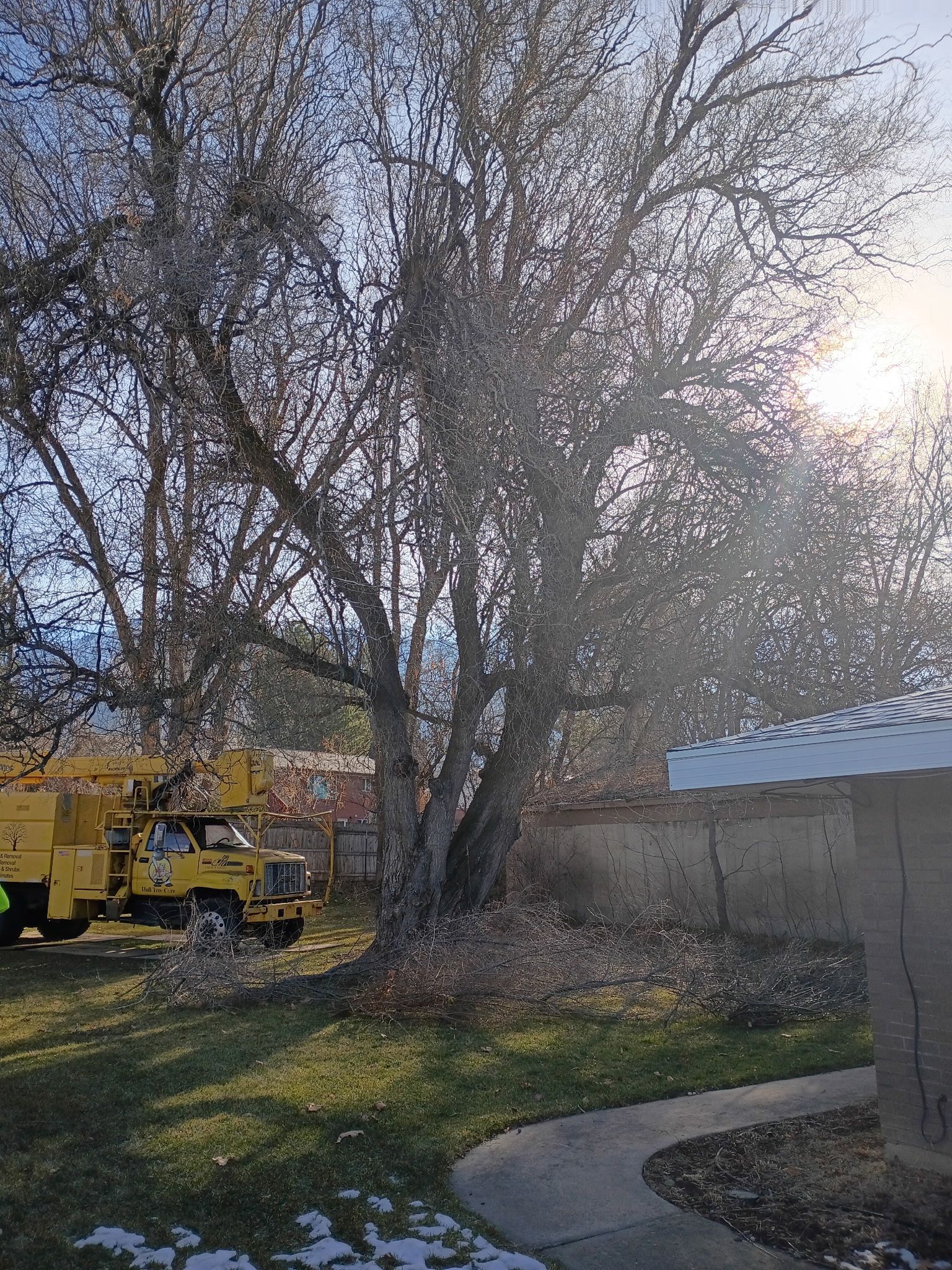 Yellow utility truck by a large tree in a sunny backyard with a curved walkway and garage.