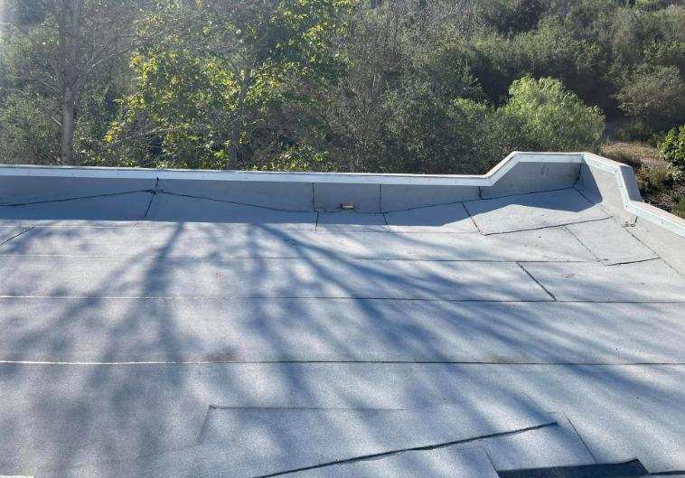 Blue-gray metal roof with a raised seam and rooftop vent, viewed against trees and brush.