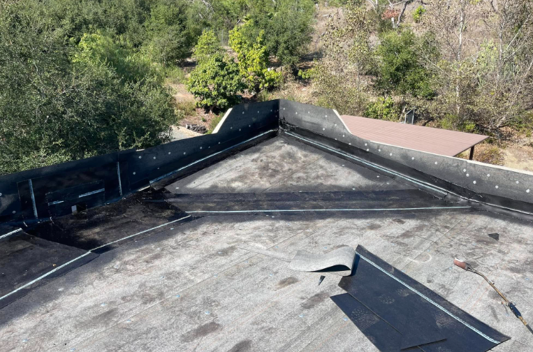 Flat rooftop with black edging and a skylight, overlooking trees and shrubs below
