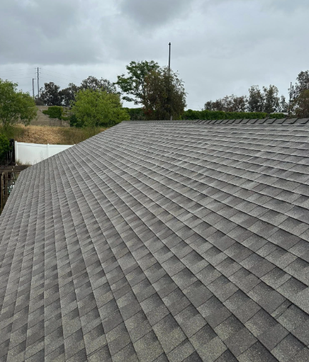 Gray shingled roof under a cloudy sky, with trees and rooftops in the background.