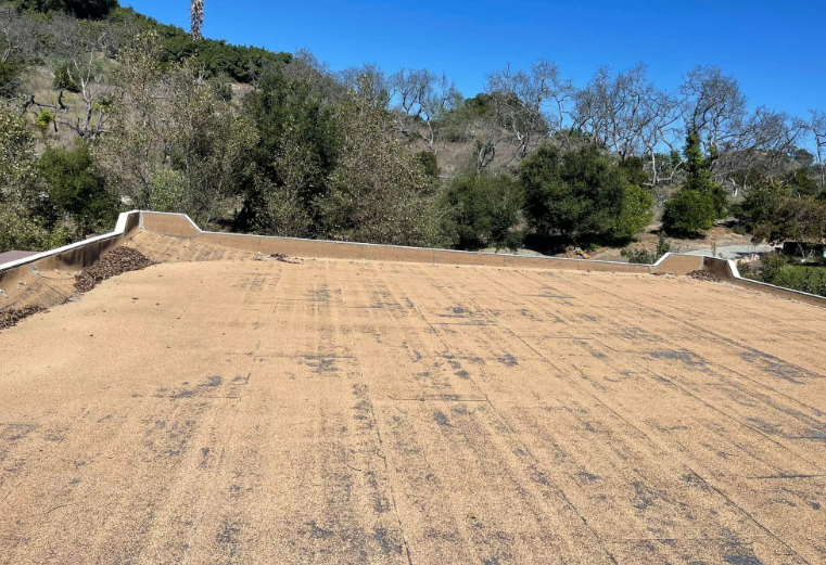 Open dirt clearing with white retaining walls and a tree-covered hillside under a blue sky