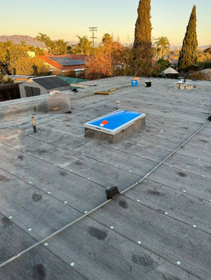 Flat rooftop with skylights, vents, and a sunset view of trees and houses beyond.