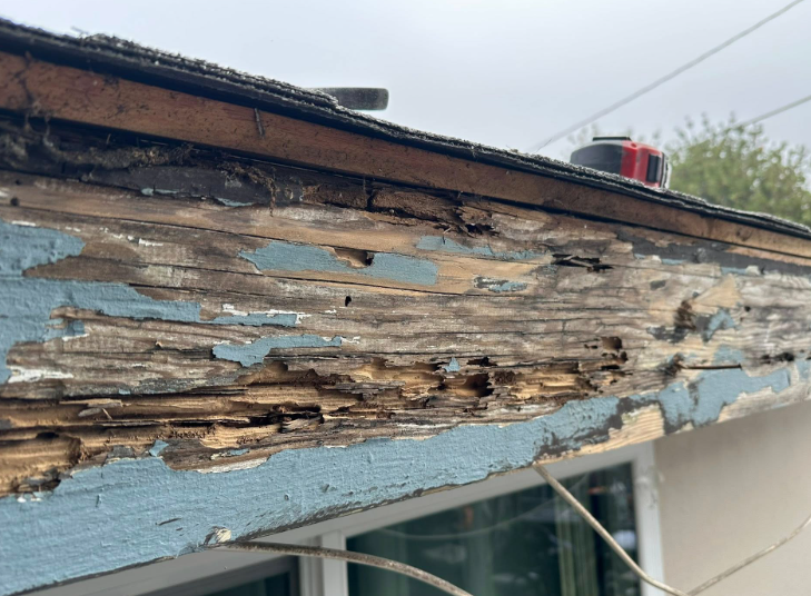 Severely rotted blue wooden house trim under a roof edge, with peeling paint and exposed wood.
