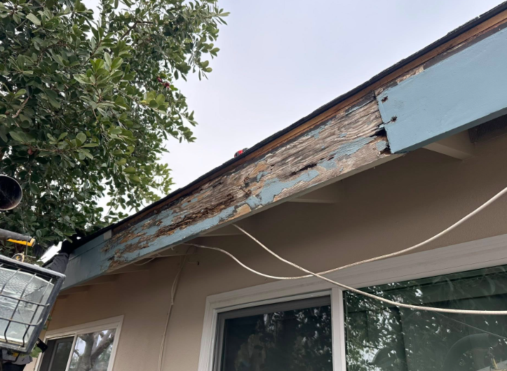 Damaged roof eave with peeling wood and exposed boards above a window near tree branches