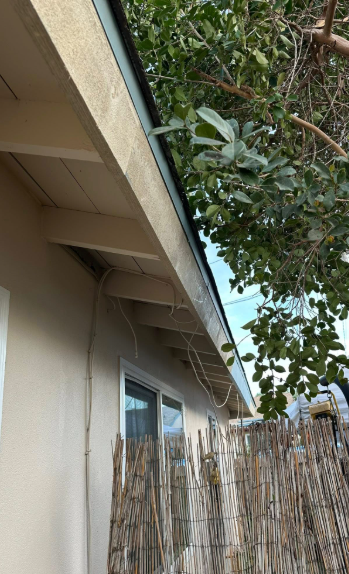 Side of a beige house with eaves, windows, and a bamboo fence under overhanging tree branches