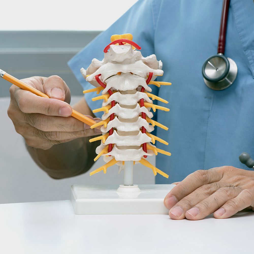 a doctor is holding a pencil over a model of the spine