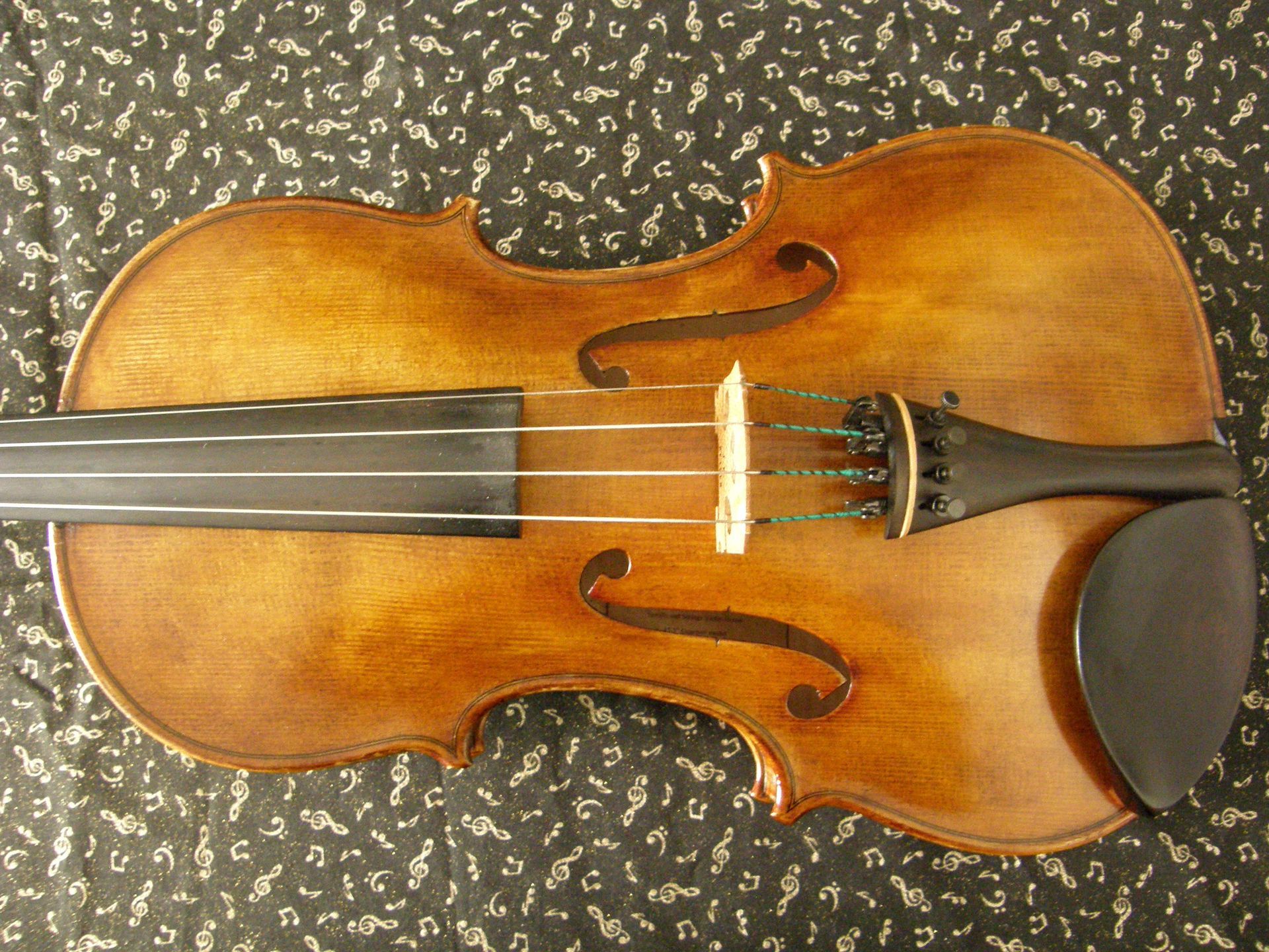 Violin