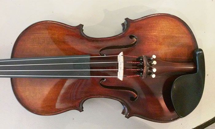 Violin