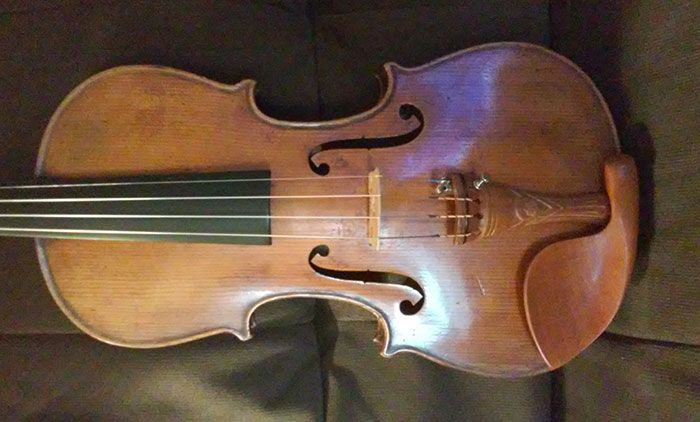Violin