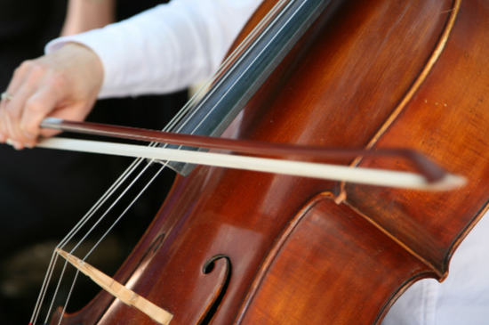 Cello | Reider's Violin House