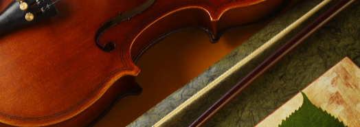 Violin | Reider's Violin House