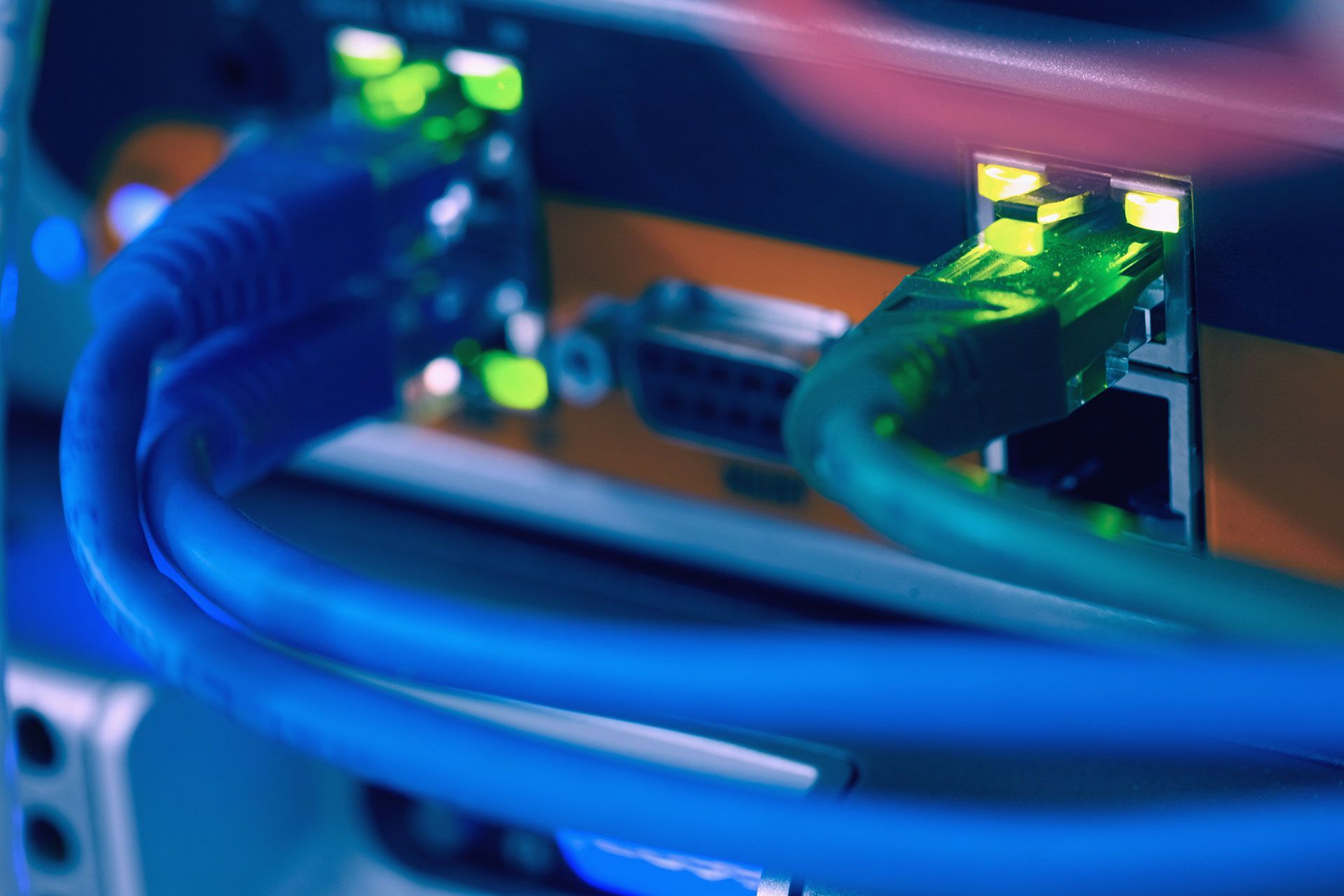 Close-up of network server with blue and green Ethernet cables plugged in, illuminated by green lights.