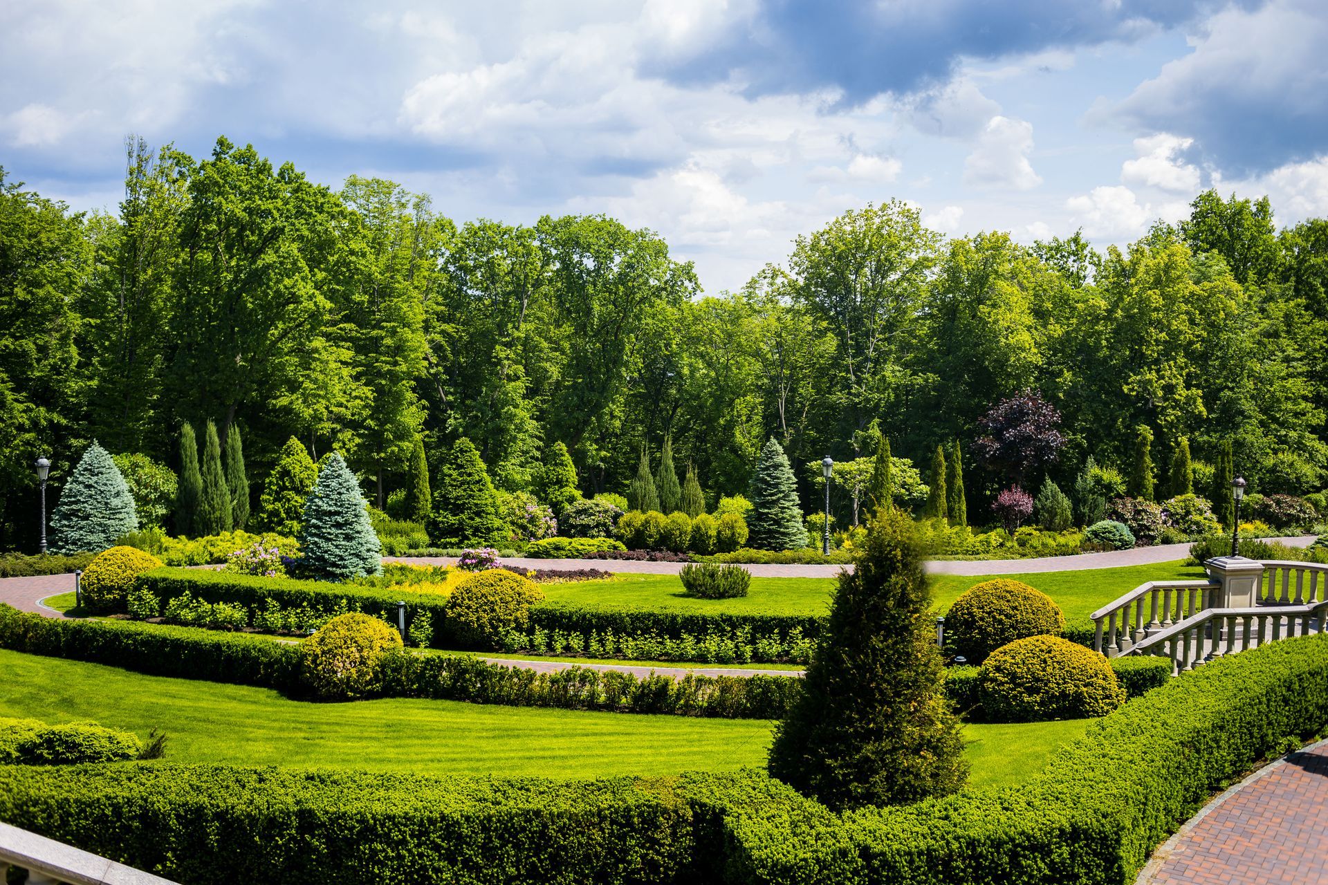 A park filled with lots of trees and bushes