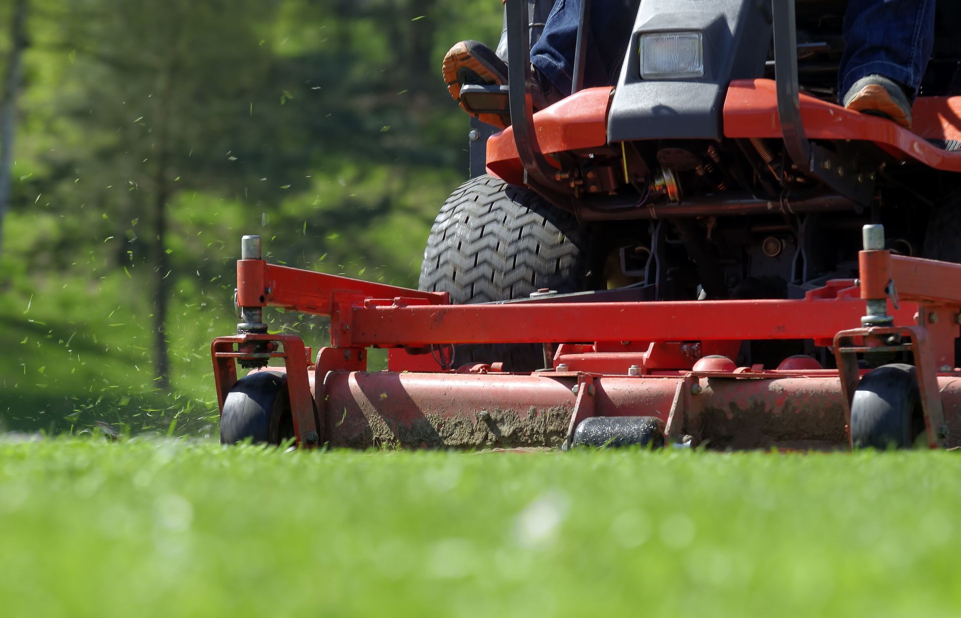Red riding lawn mower cutting green grass outdoors.