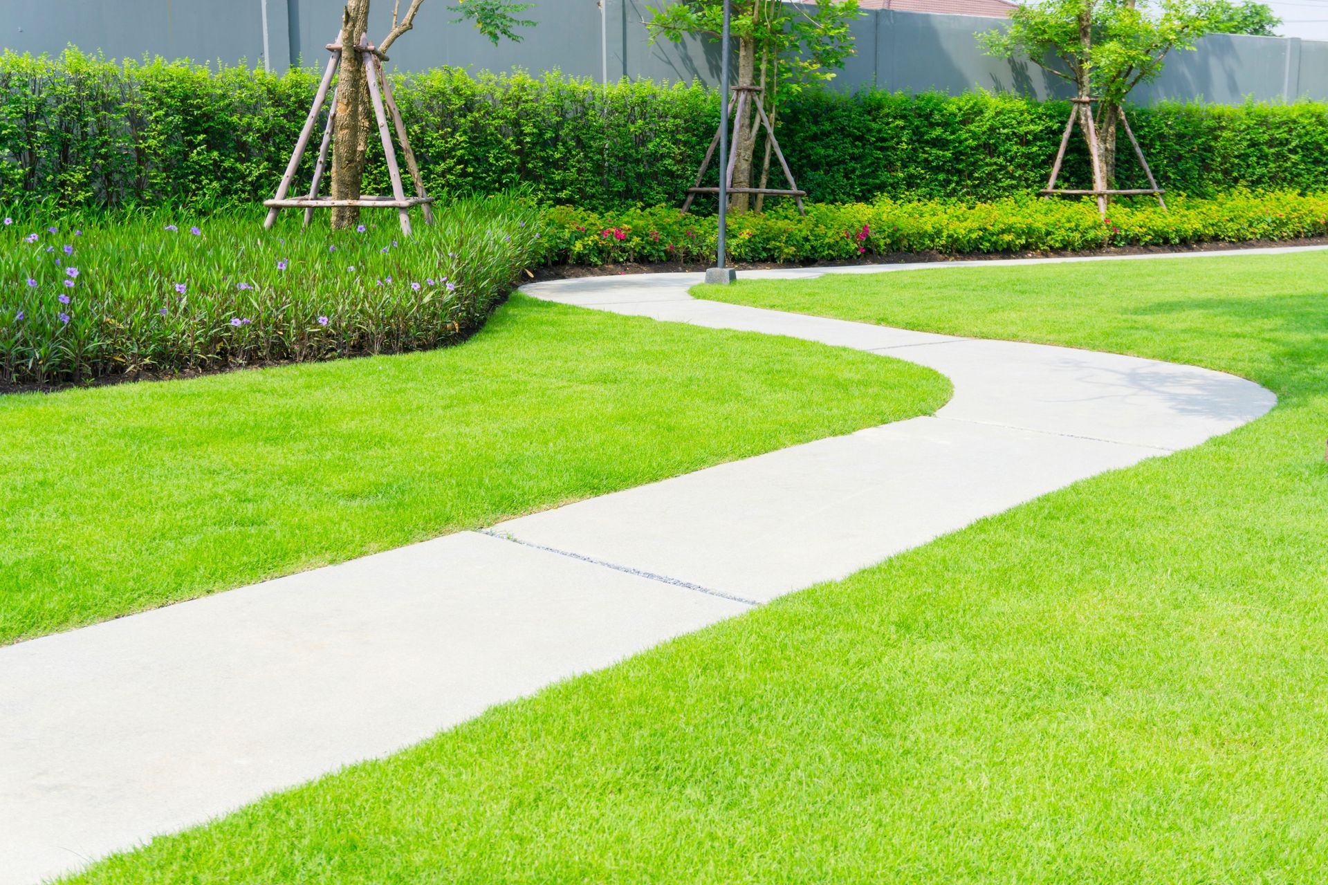 A concrete walkway going through a lush green garden.