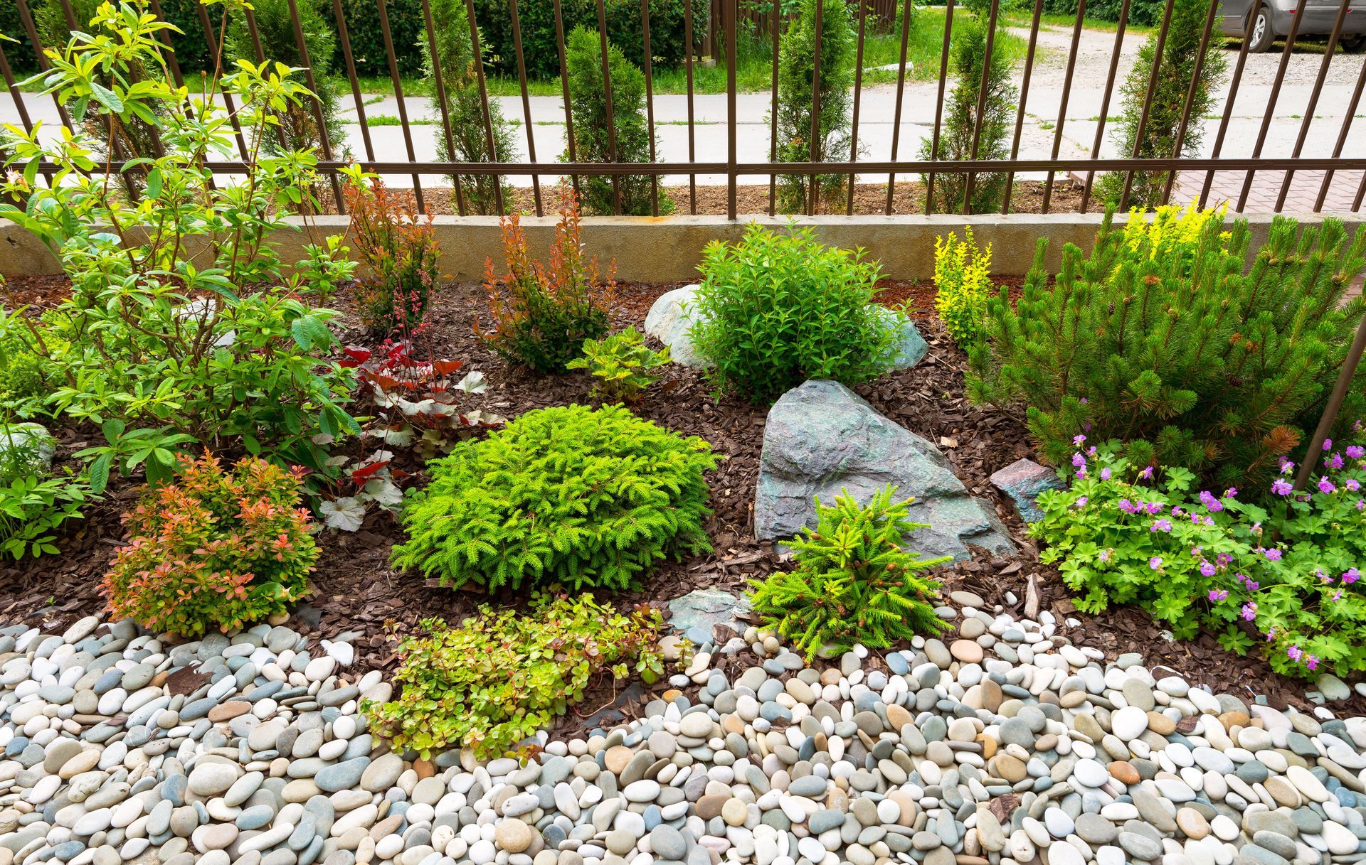A garden with rocks and plants in front of a fence.