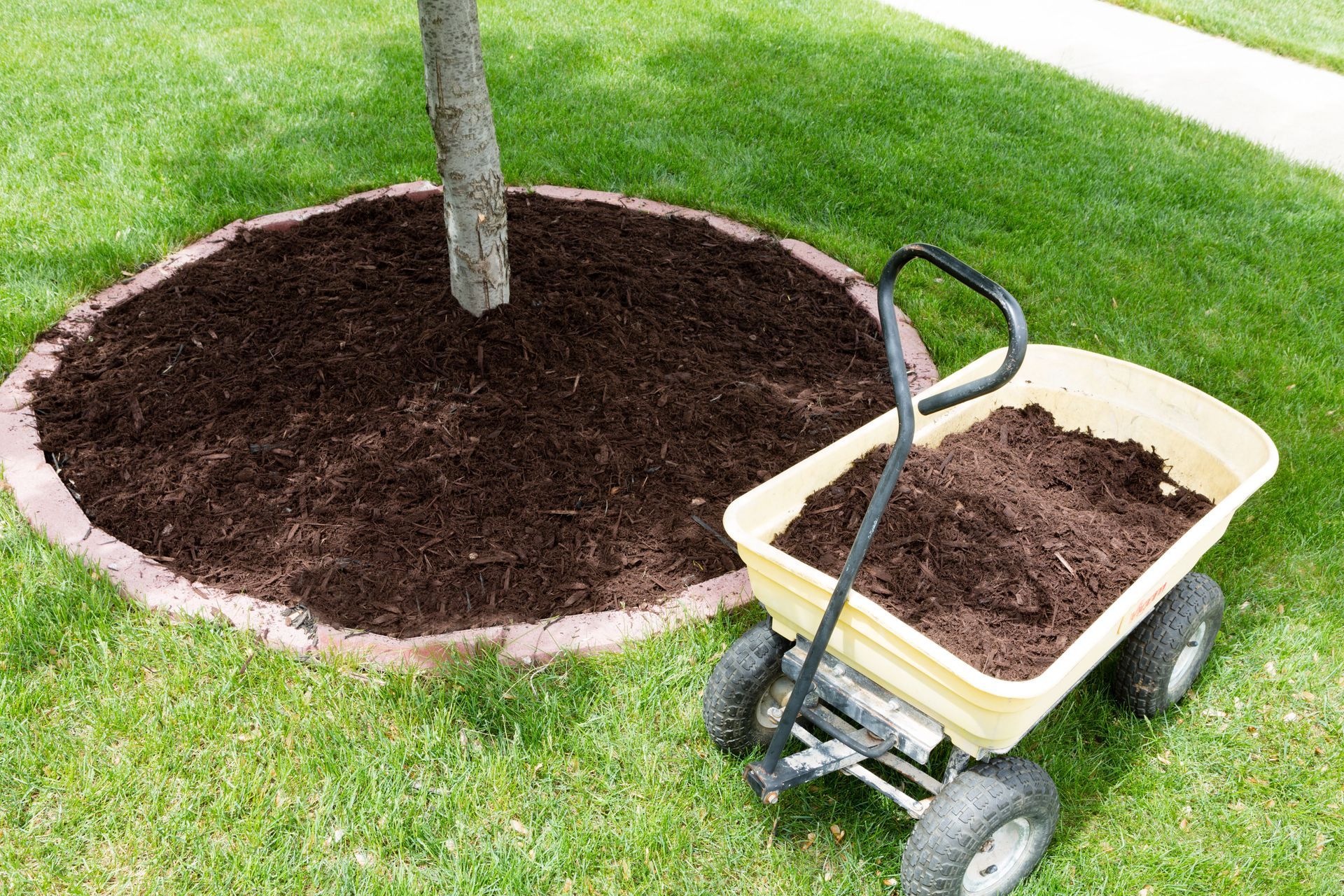 A wheelbarrow filled with dirt is sitting in the grass next to a tree.