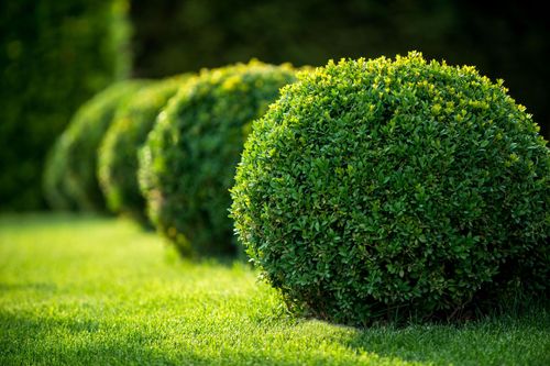 Garcia Landscaping