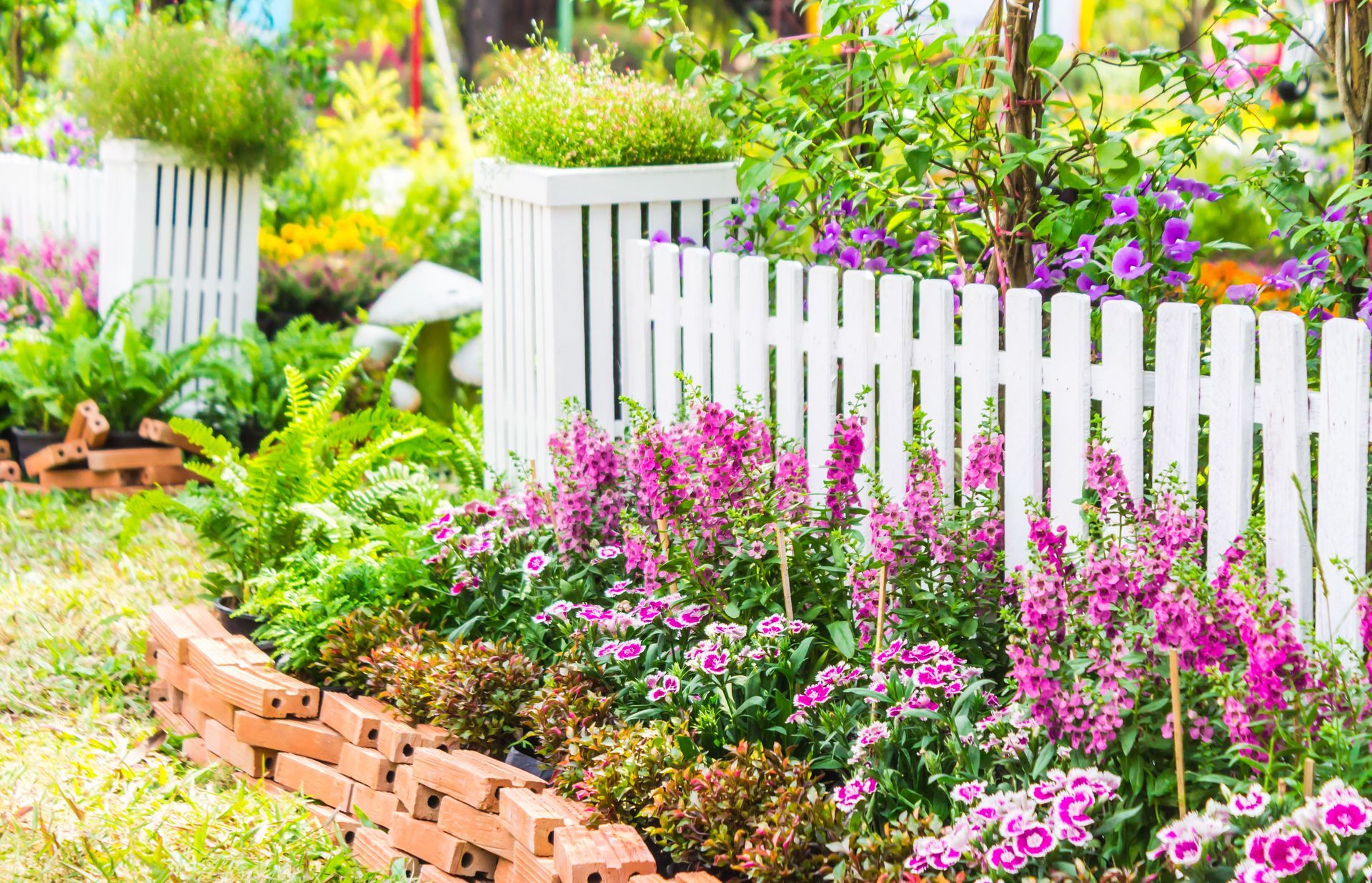 A white picket fence surrounds a garden filled with purple flowers.