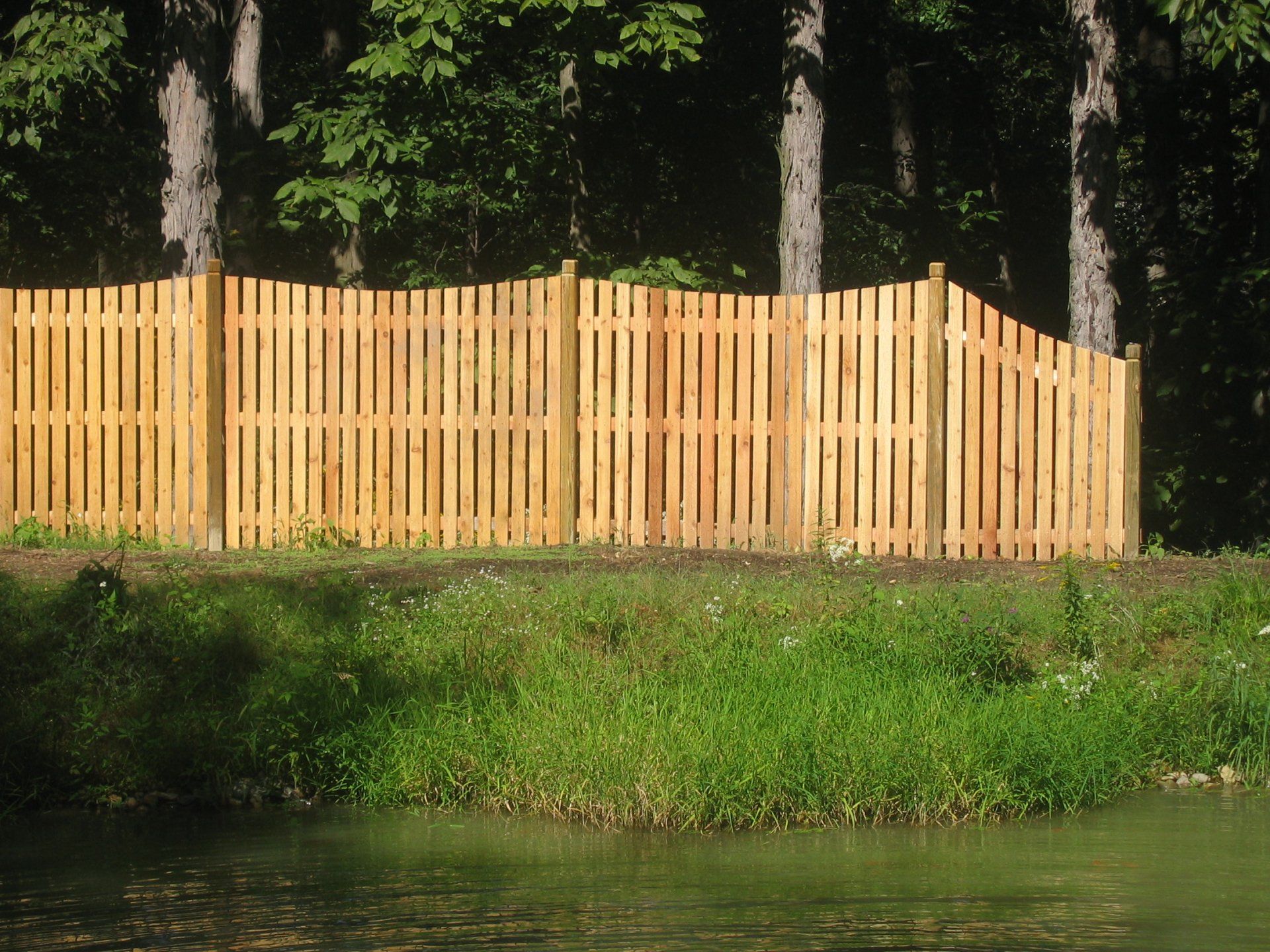 cedar picket fence #8