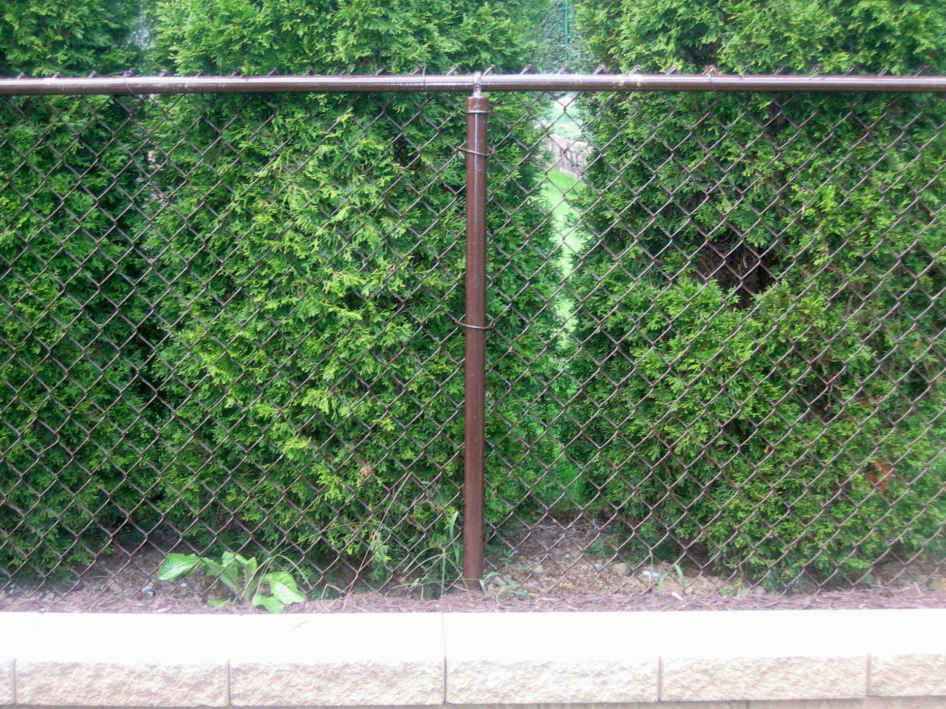 chain link fence #1