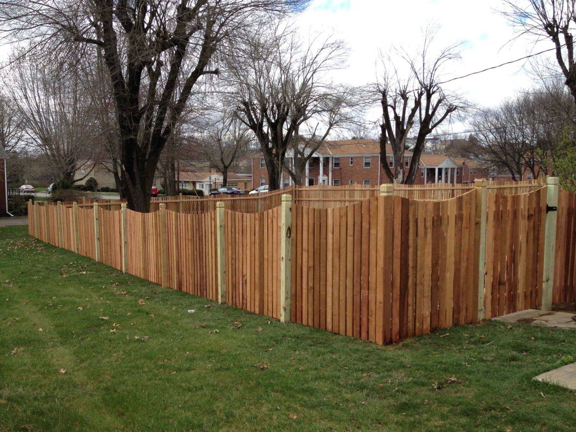 cedar picket fence #9
