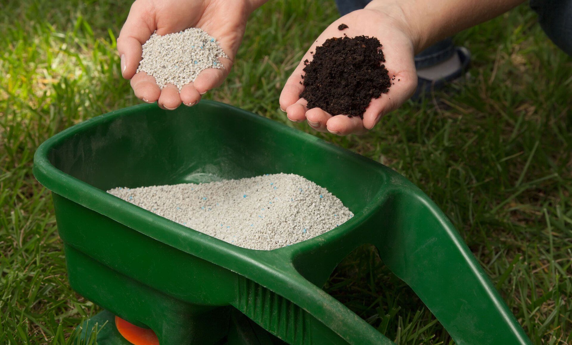fertilization
