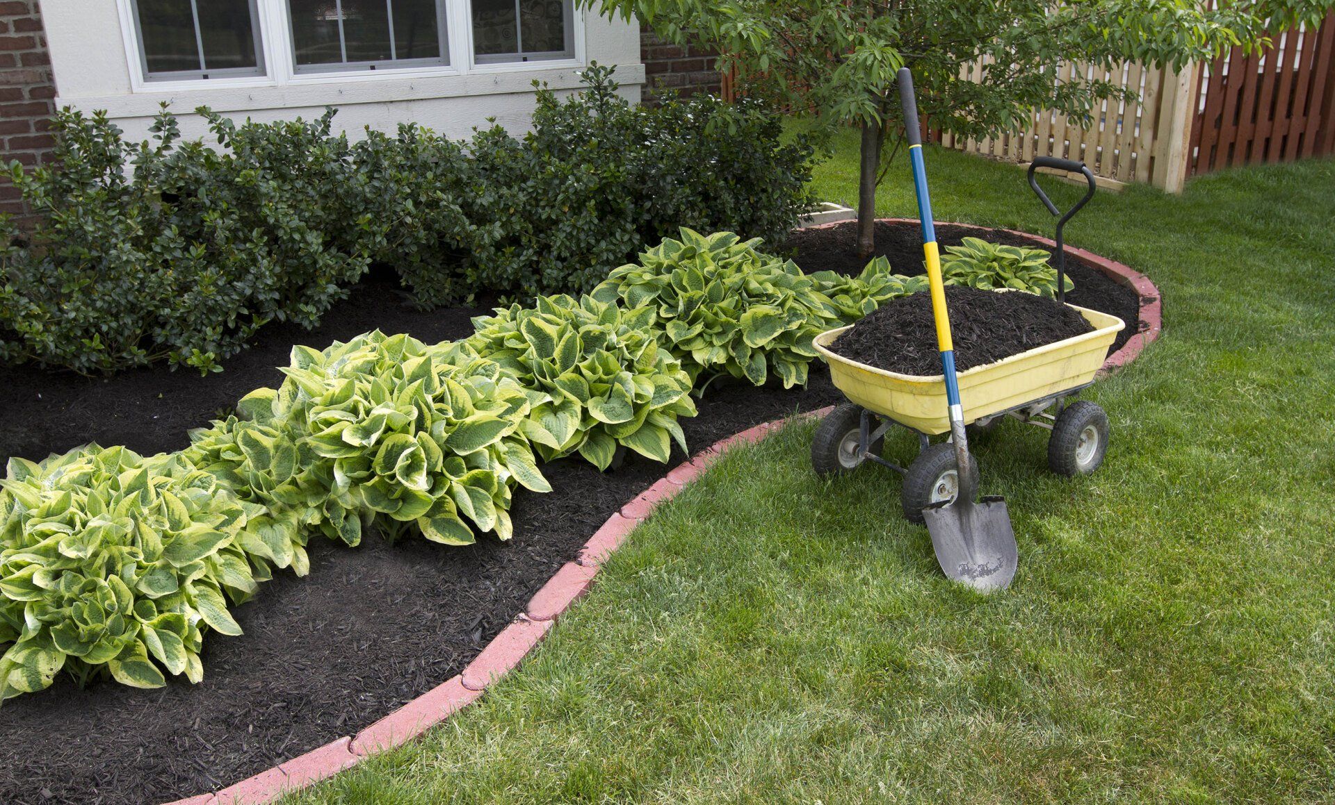 mulch