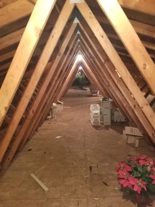 Attic with exposed wooden rafters. Flooring visible with several storage containers and a poinsettia plant.