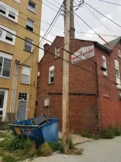 A brick building, utility pole, blue dumpster, and overgrown grass.