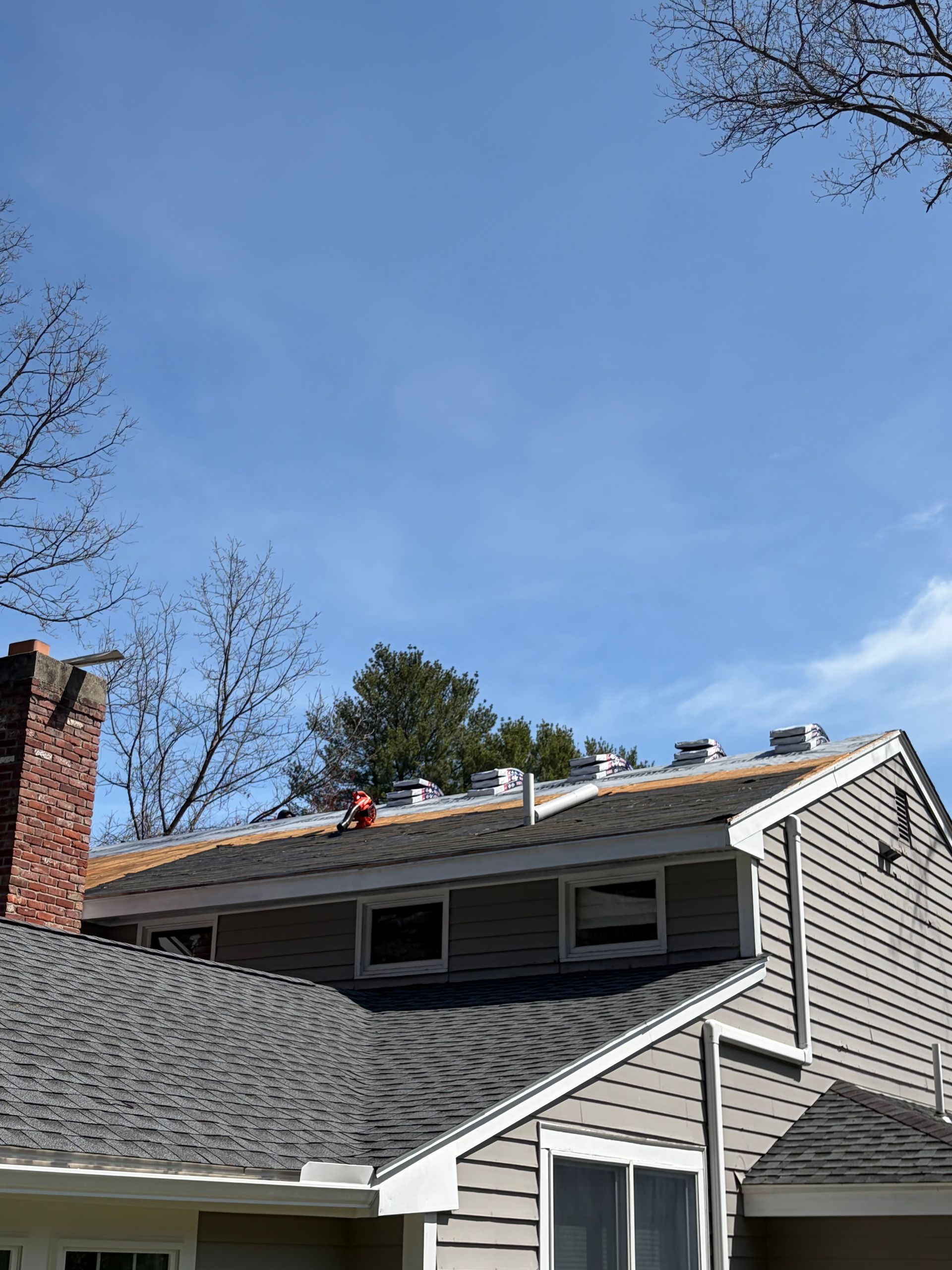 House roof with blue sky, dormer windows, chimney, and bare tree branches