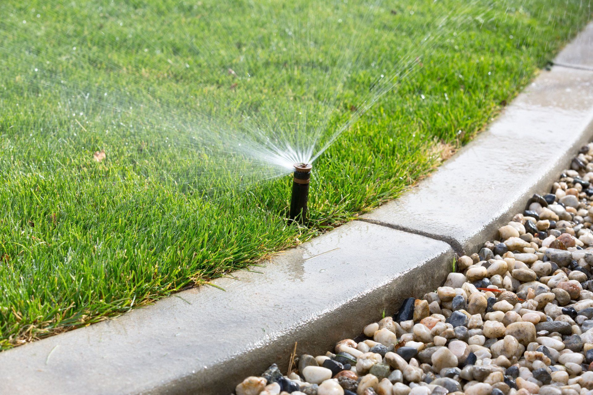 A lawn sprinkler sprays a fine mist of water onto green grass beside a concrete border and a bed of small decorative rocks.