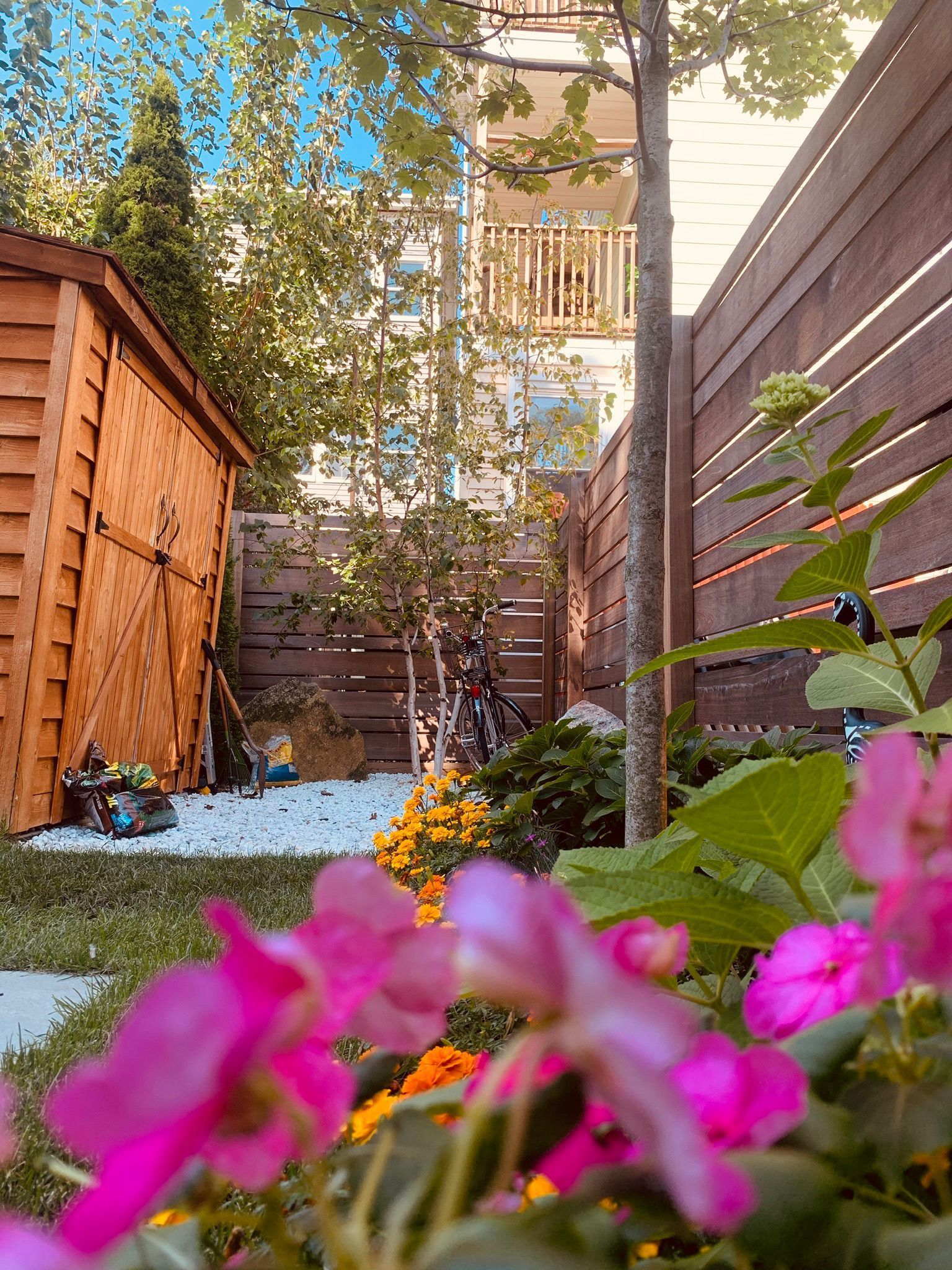A garden with flowers and a wooden shed in the background.