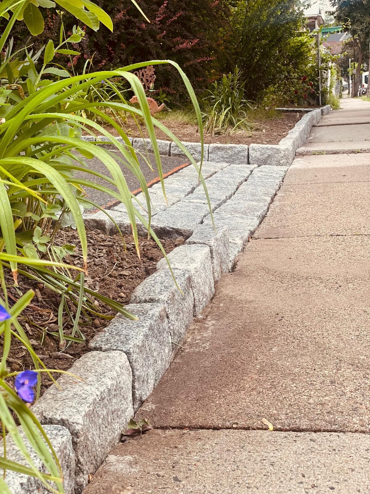 A sidewalk with a stone curb and plants on the side of it.