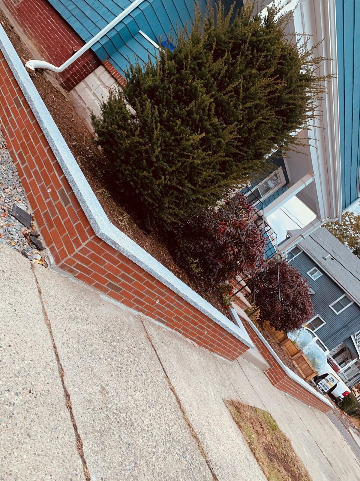 A brick wall with a blue building in the background and a tree in the foreground.