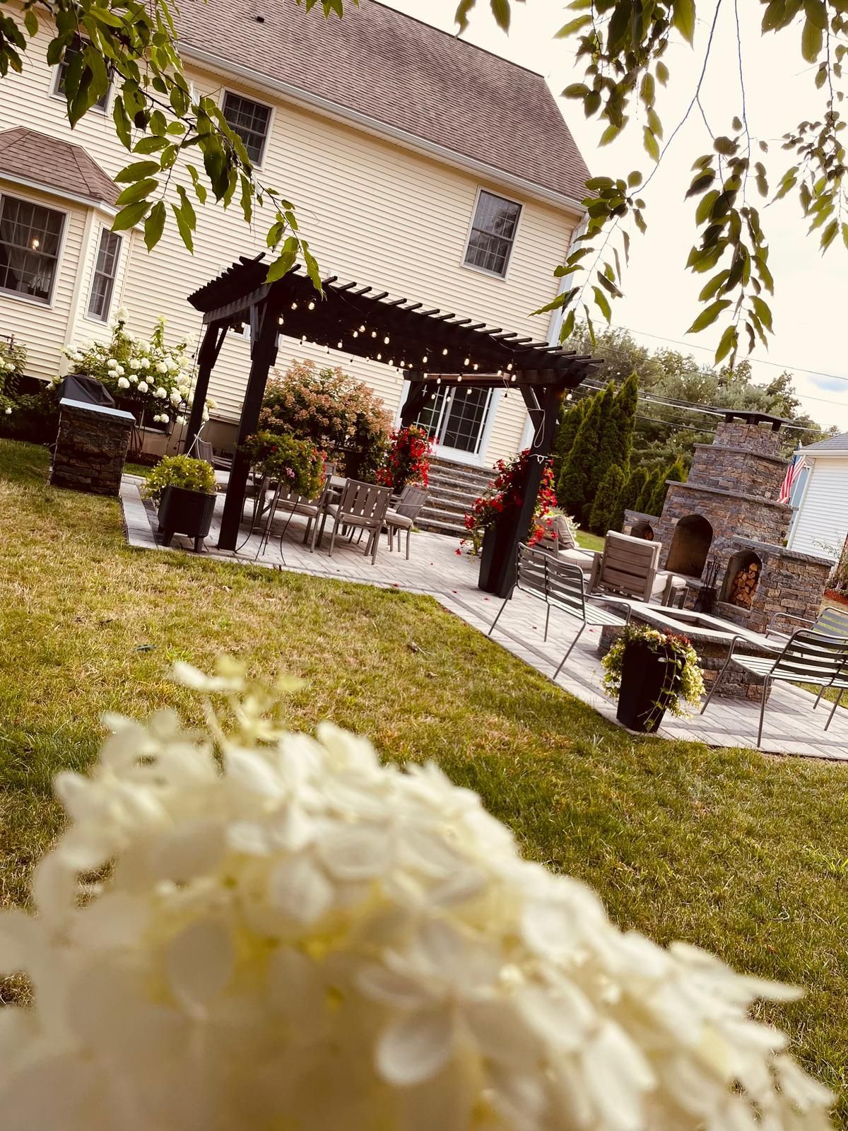 A white flower is in the foreground of a backyard with a house in the background.