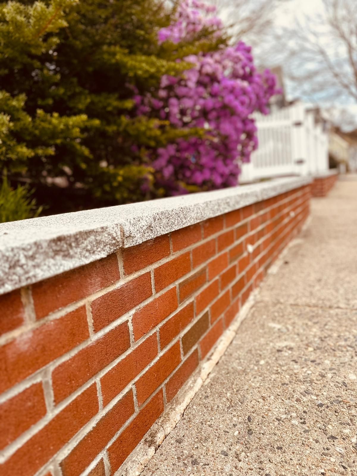 A brick wall with purple flowers in the background