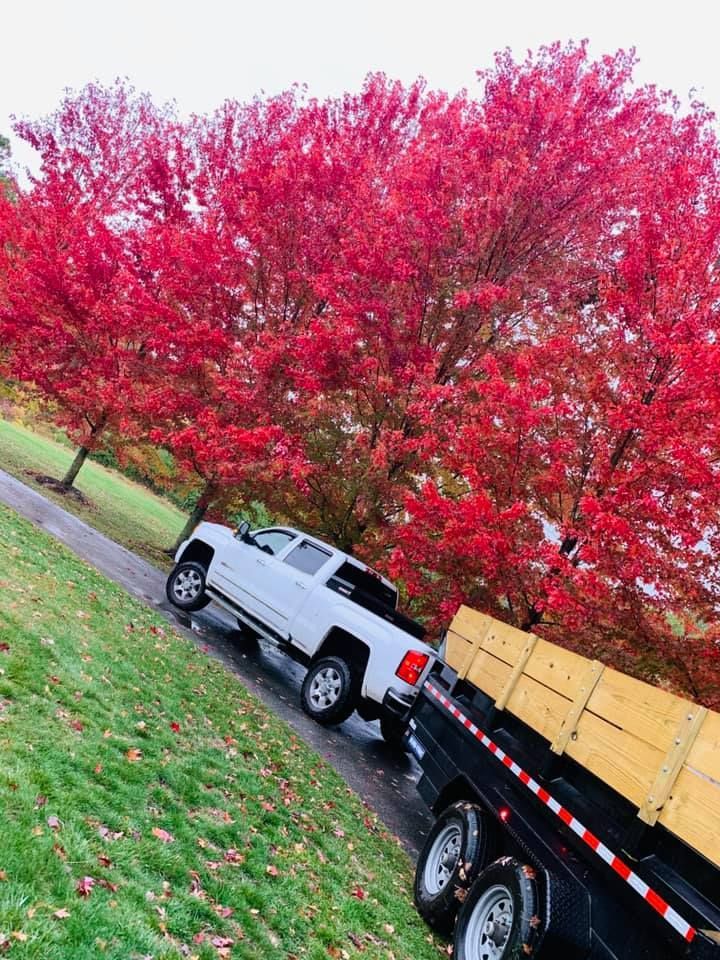 Two trucks are parked next to each other in front of trees with red leaves.