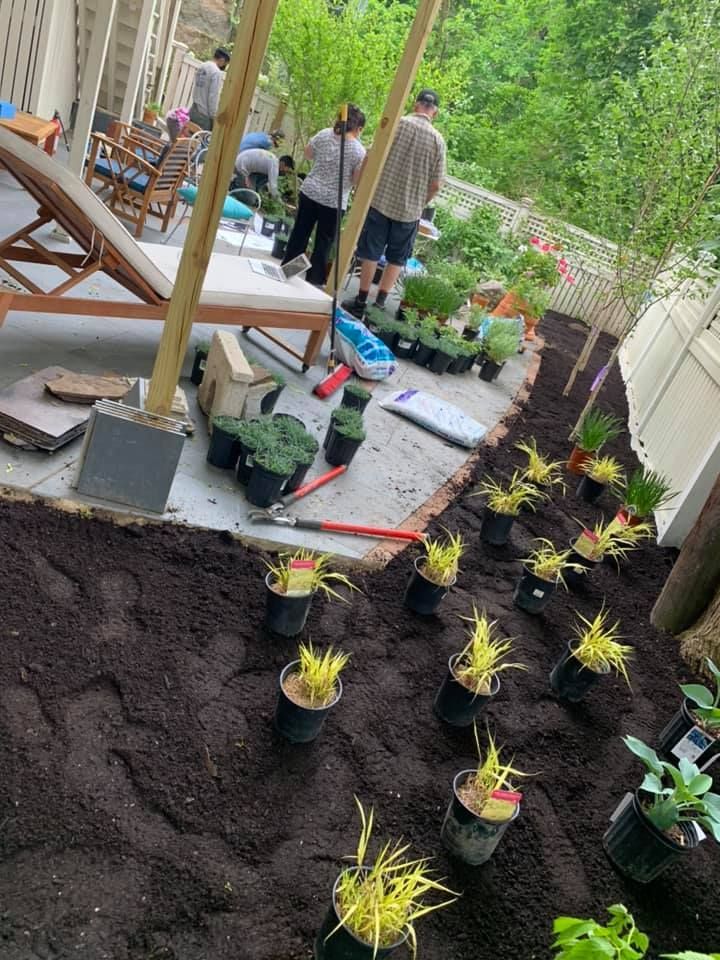 A group of people are planting plants in a garden.