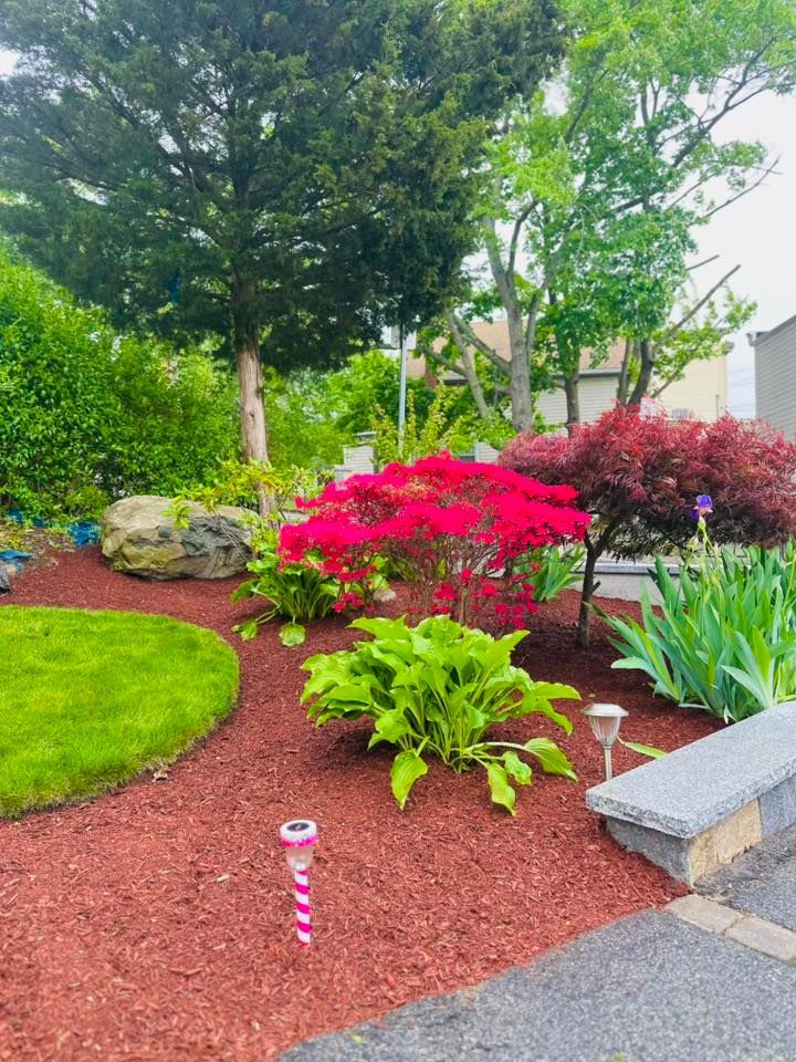 A garden with a lot of plants and trees in it
