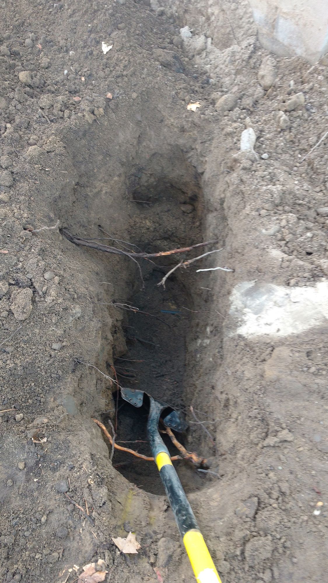 Yellow cable in a narrow dirt trench with exposed black piping and soil around it.