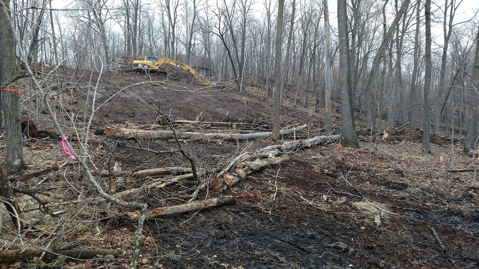 Cleared forest hillside with cut logs, bare trees, and a yellow excavator in the distance
