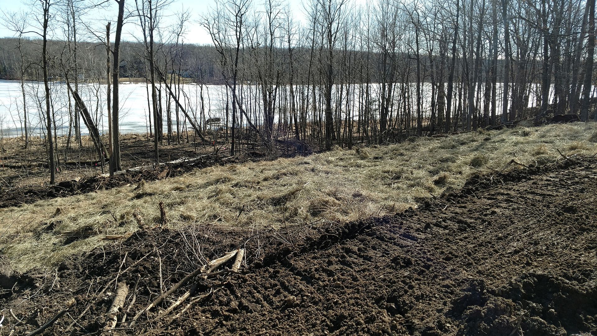Grassy bank beside a lake with bare trees and bright sunlight reflecting on the water.