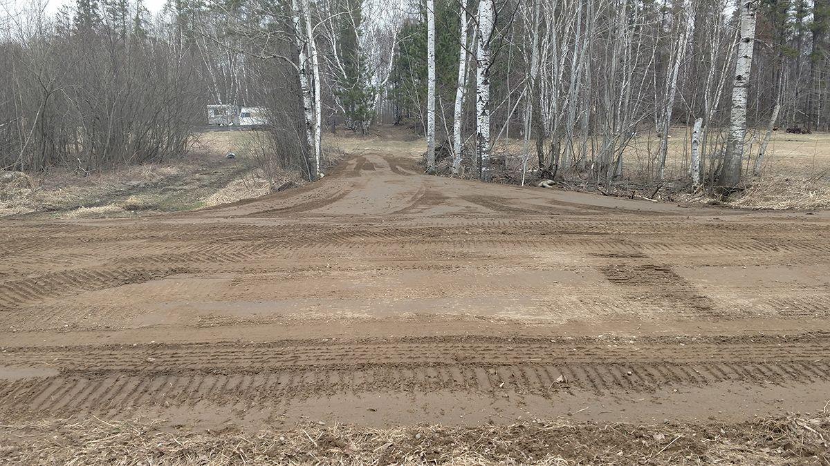 Freshly graded dirt clearing in a wooded area with birch trees in the background.